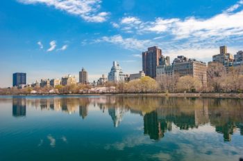 Read more about the article Why To Live In Prospect, New York?