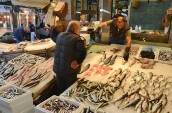 Read more about the article A Full Guide Of Tsukiji Fish Market, Tokyo