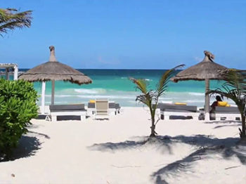 Read more about the article Know More About Playa Mambo Eco Cabanas, Tulum