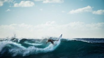 What to prefer and what to avoid while looking for a surfing swimwear