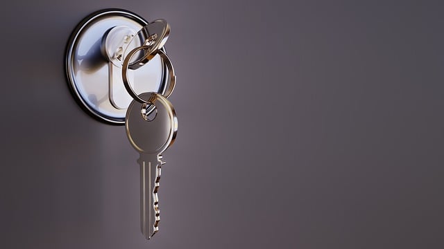Read more about the article Keys to Access: Navigating the World of Locks and Security
