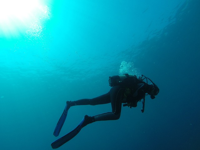 Read more about the article The Wonders of Scuba Diving in St. George, Utah