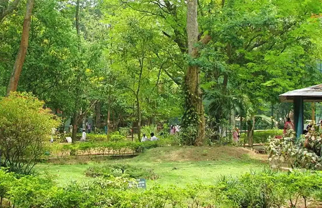 Bannerghatta National Park