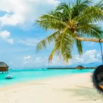 A Complete Guide to Choosing the Right Resort in Maldives