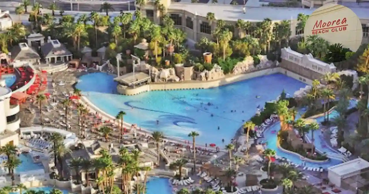 Read more about the article Moorea Beach Club – The Ultimate Party Spot in Las Vegas