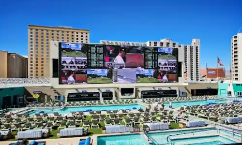 Stadium Swim
