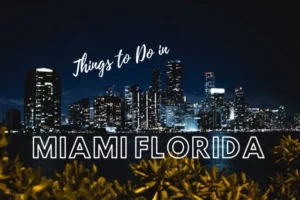 Read more about the article 18 Unique Things to Do in Miami Florida