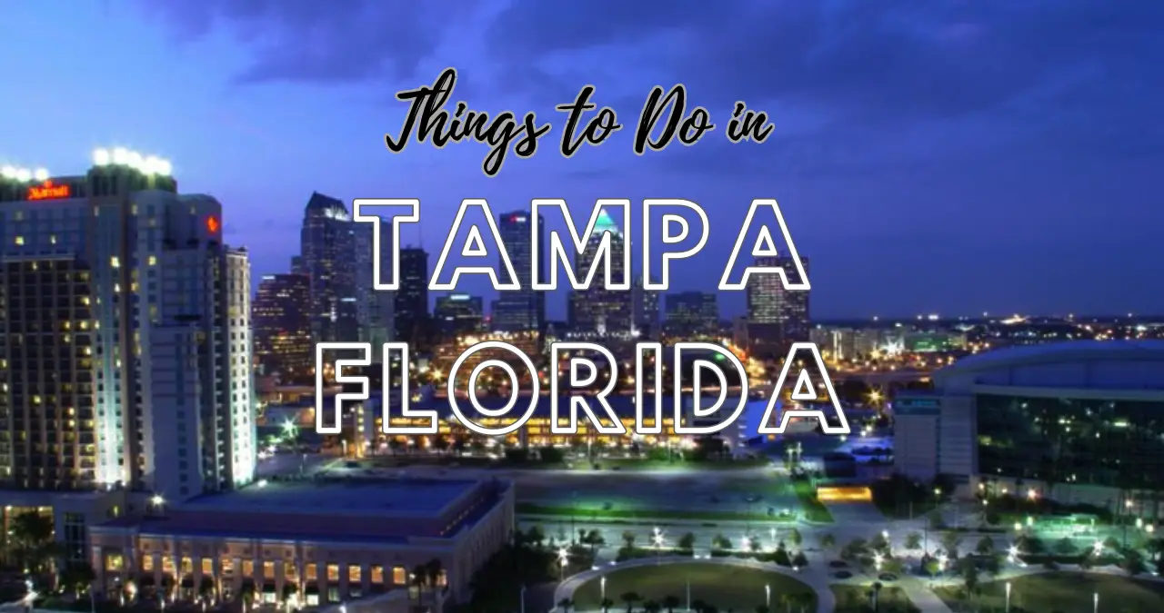 Read more about the article Unique Things to Do in Tampa Florida​: Best Attractions & Activities