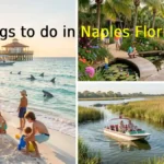 Fun & Exciting Things to Do in Naples Florida​​